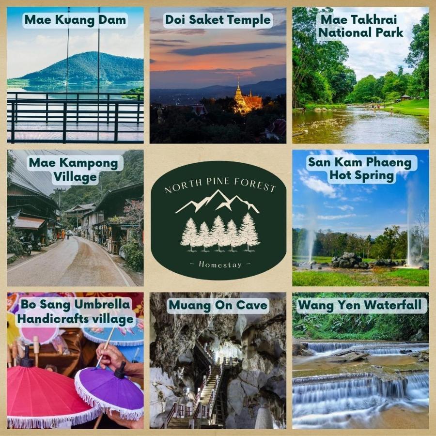 North Pine Forest Homestay บ้านไม้สนโฮมสเตย์ Ban Mae Pong Exterior photo