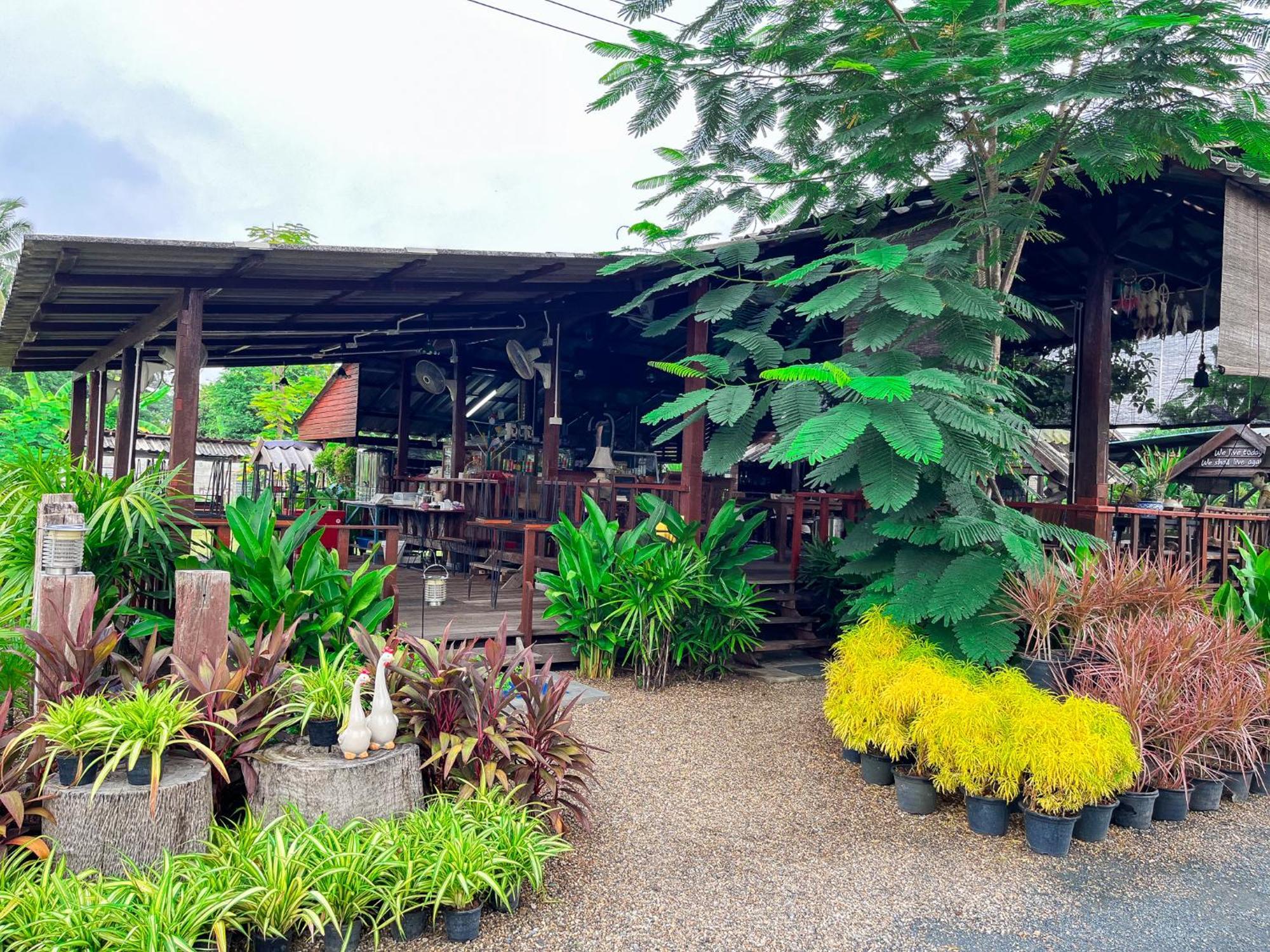 North Pine Forest Homestay บ้านไม้สนโฮมสเตย์ Ban Mae Pong Exterior photo