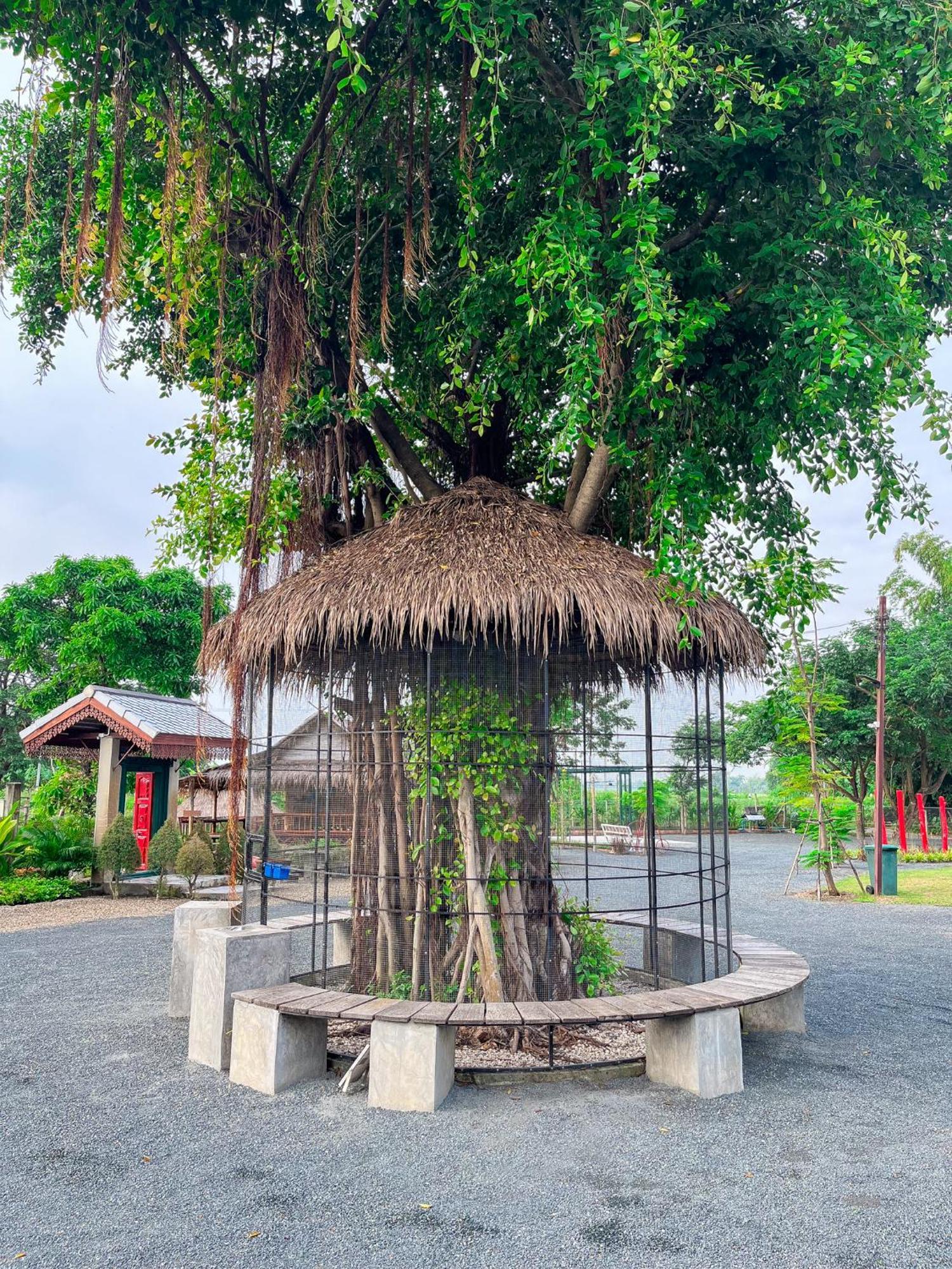 North Pine Forest Homestay บ้านไม้สนโฮมสเตย์ Ban Mae Pong Exterior photo