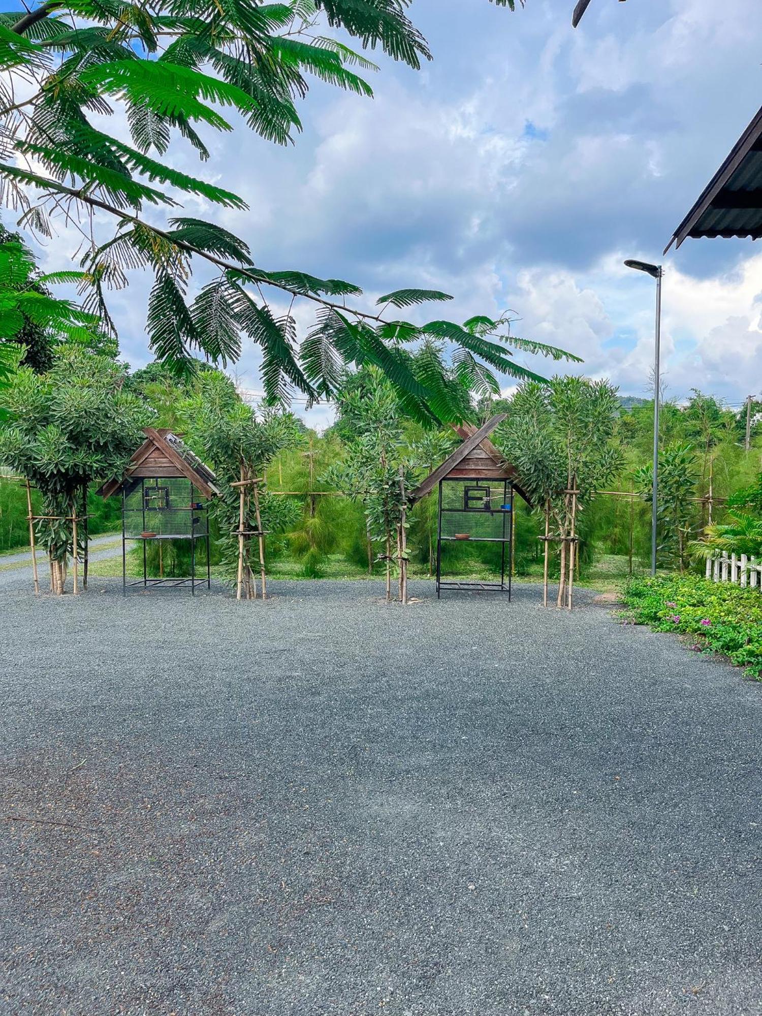 North Pine Forest Homestay บ้านไม้สนโฮมสเตย์ Ban Mae Pong Exterior photo