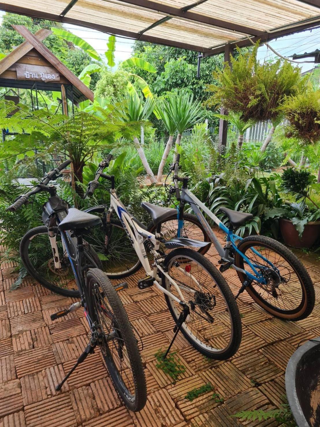 North Pine Forest Homestay บ้านไม้สนโฮมสเตย์ Ban Mae Pong Exterior photo